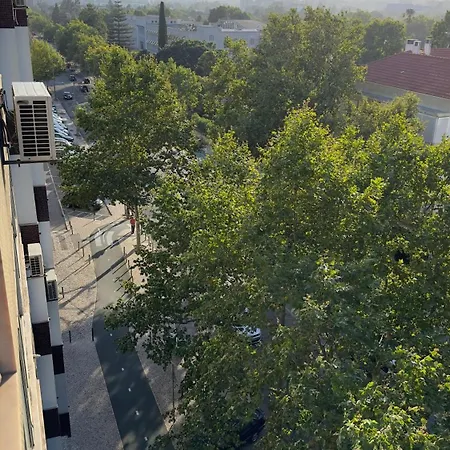 Alvalade Lisbon